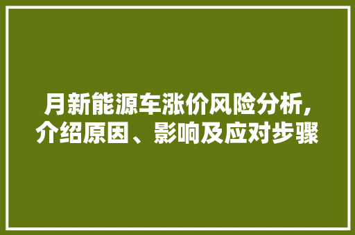 月新能源车涨价风险分析,介绍原因、影响及应对步骤