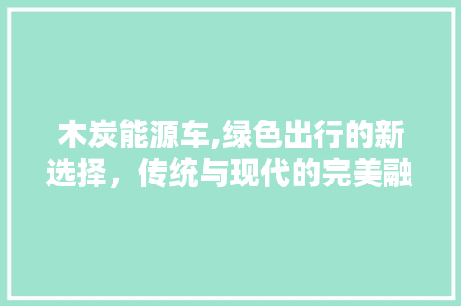 木炭能源车,绿色出行的新选择，传统与现代的完美融合