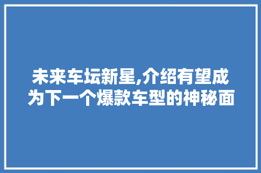 未来车坛新星,介绍有望成为下一个爆款车型的神秘面纱