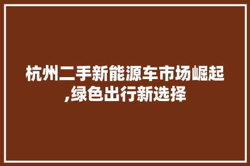 杭州二手新能源车市场崛起,绿色出行新选择