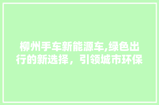 柳州手车新能源车,绿色出行的新选择，引领城市环保潮流