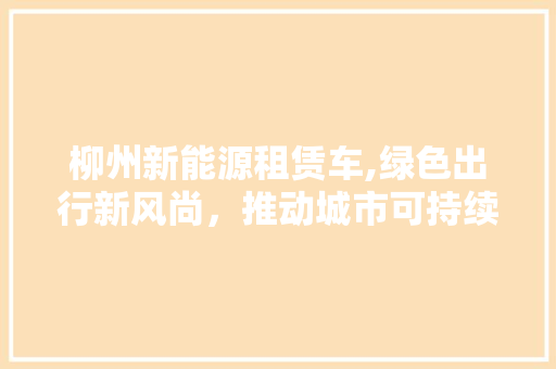 柳州新能源租赁车,绿色出行新风尚，推动城市可持续发展