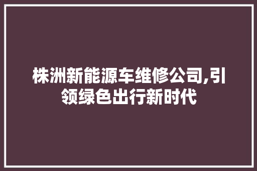 株洲新能源车维修公司,引领绿色出行新时代