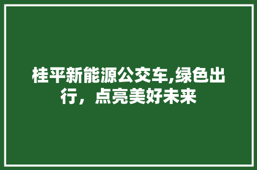 桂平新能源公交车,绿色出行，点亮美好未来