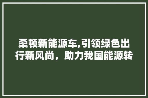 桑顿新能源车,引领绿色出行新风尚，助力我国能源转型