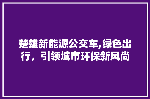 楚雄新能源公交车,绿色出行，引领城市环保新风尚