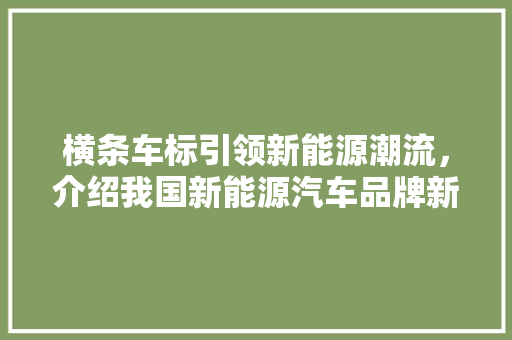 横条车标引领新能源潮流，介绍我国新能源汽车品牌新风尚
