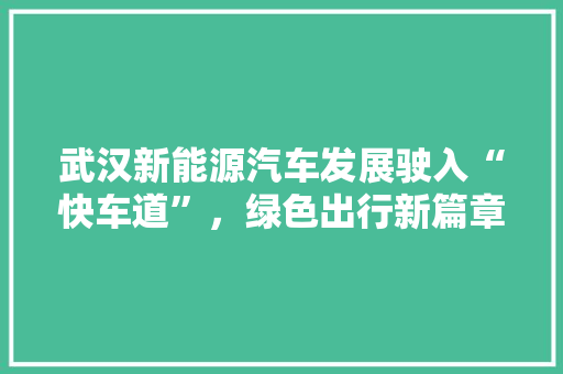 武汉新能源汽车发展驶入“快车道”，绿色出行新篇章启幕