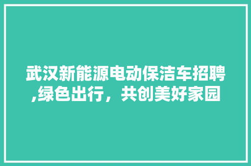 武汉新能源电动保洁车招聘,绿色出行，共创美好家园