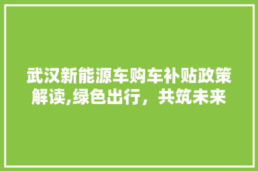 武汉新能源车购车补贴政策解读,绿色出行，共筑未来