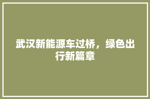 武汉新能源车过桥，绿色出行新篇章