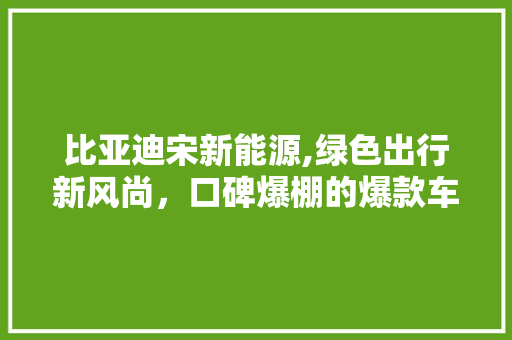 比亚迪宋新能源,绿色出行新风尚，口碑爆棚的爆款车型