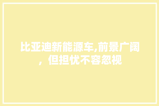 比亚迪新能源车,前景广阔，但担忧不容忽视