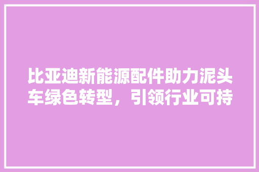 比亚迪新能源配件助力泥头车绿色转型，引领行业可持续发展