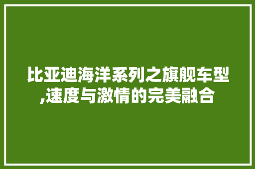 比亚迪海洋系列之旗舰车型,速度与激情的完美融合 新能源汽车