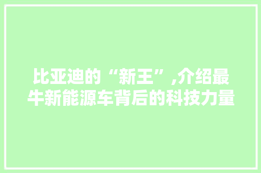 比亚迪的“新王”,介绍最牛新能源车背后的科技力量 蓄电池配件