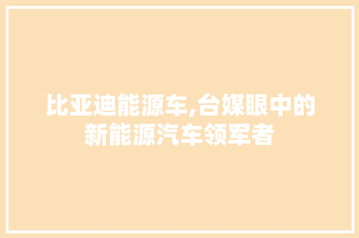 比亚迪能源车,台媒眼中的新能源汽车领军者 变速箱配件