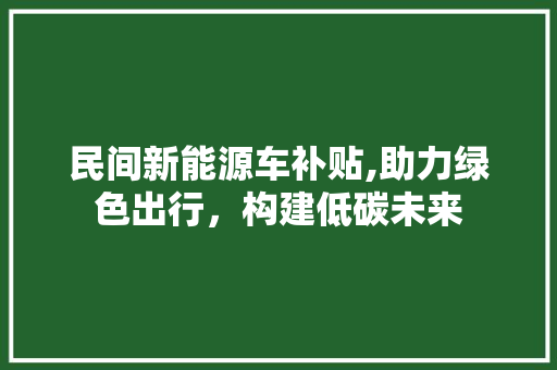 民间新能源车补贴,助力绿色出行，构建低碳未来