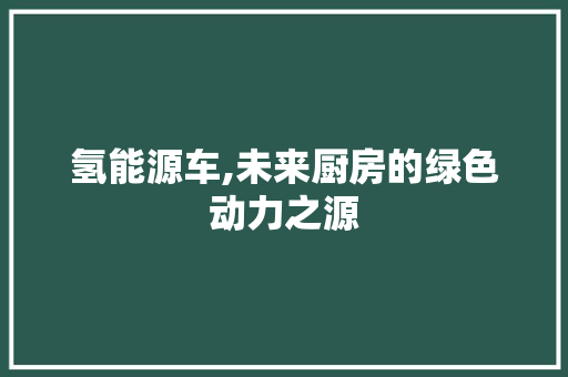 氢能源车,未来厨房的绿色动力之源 发动机配件
