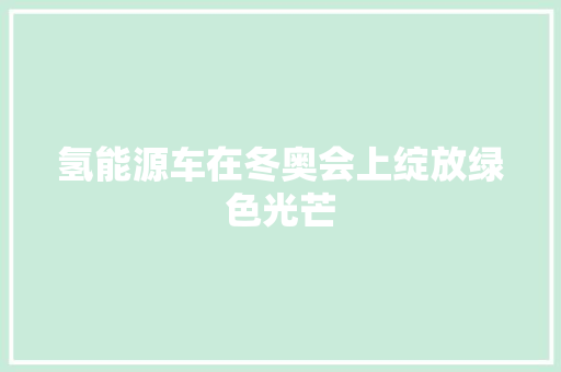 氢能源车在冬奥会上绽放绿色光芒 新款车型