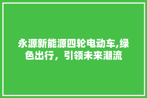 永源新能源四轮电动车,绿色出行，引领未来潮流