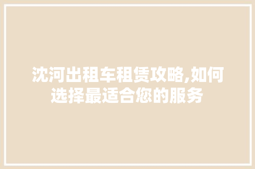 沈河出租车租赁攻略,如何选择最适合您的服务