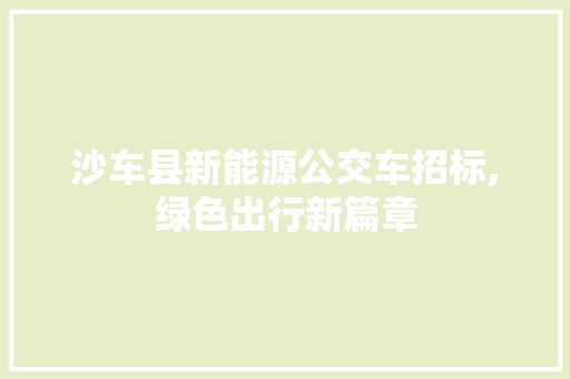 沙车县新能源公交车招标,绿色出行新篇章
