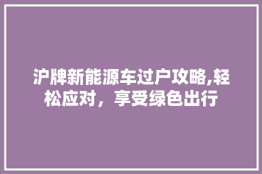 沪牌新能源车过户攻略,轻松应对，享受绿色出行 变速箱配件