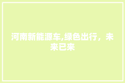 河南新能源车,绿色出行，未来已来