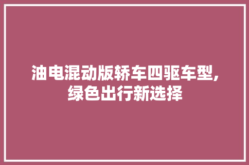 油电混动版轿车四驱车型,绿色出行新选择