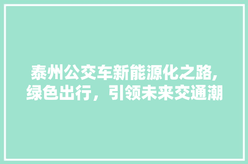 泰州公交车新能源化之路,绿色出行，引领未来交通潮流