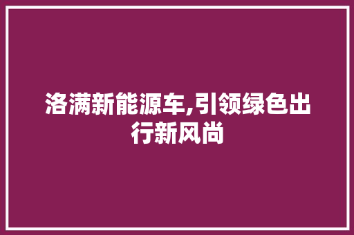 洛满新能源车,引领绿色出行新风尚 汽车配件