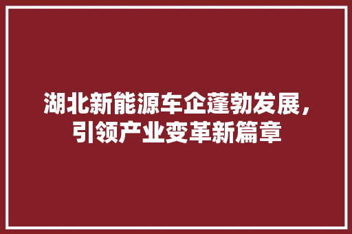 湖北新能源车企蓬勃发展，引领产业变革新篇章