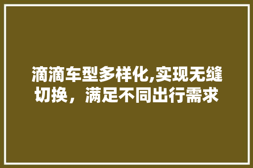 滴滴车型多样化,实现无缝切换，满足不同出行需求 新款车型