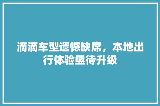 滴滴车型遗憾缺席，本地出行体验亟待升级 车灯配件