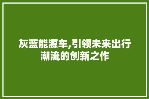 灰蓝能源车,引领未来出行潮流的创新之作