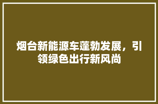 烟台新能源车蓬勃发展，引领绿色出行新风尚