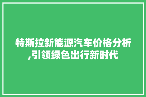 特斯拉新能源汽车价格分析,引领绿色出行新时代