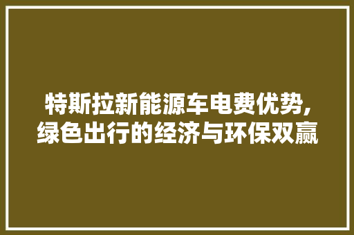 特斯拉新能源车电费优势,绿色出行的经济与环保双赢之路 汽车配件