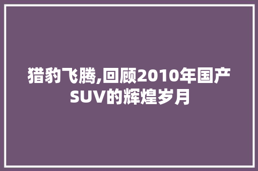 猎豹飞腾,回顾2010年国产SUV的辉煌岁月 底盘配件