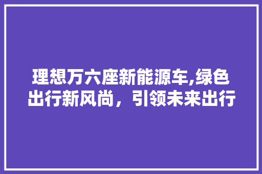 理想万六座新能源车,绿色出行新风尚，引领未来出行潮流