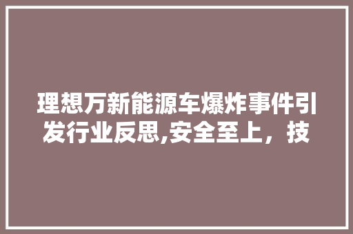 理想万新能源车爆炸事件引发行业反思,安全至上，技术升级刻不容缓