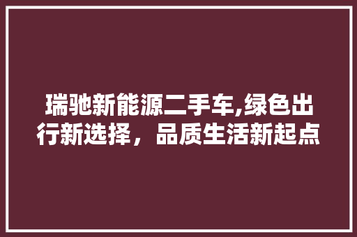 瑞驰新能源二手车,绿色出行新选择，品质生活新起点 新款车型