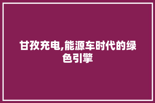 甘孜充电,能源车时代的绿色引擎