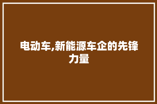 电动车,新能源车企的先锋力量