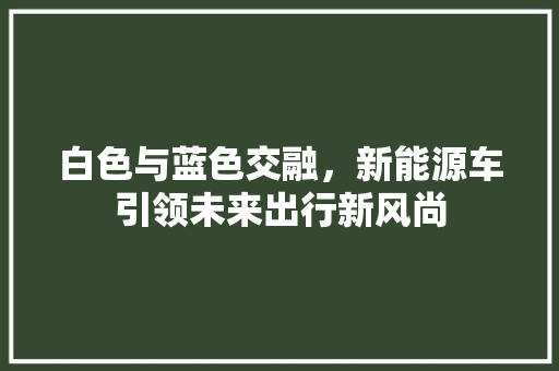 白色与蓝色交融，新能源车引领未来出行新风尚