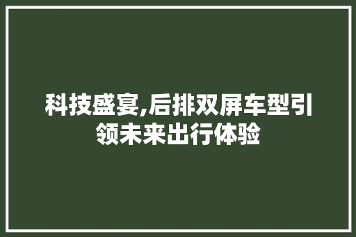科技盛宴,后排双屏车型引领未来出行体验