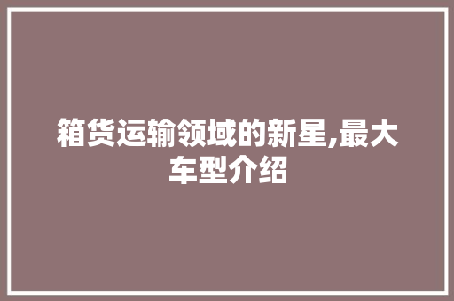 箱货运输领域的新星,最大车型介绍