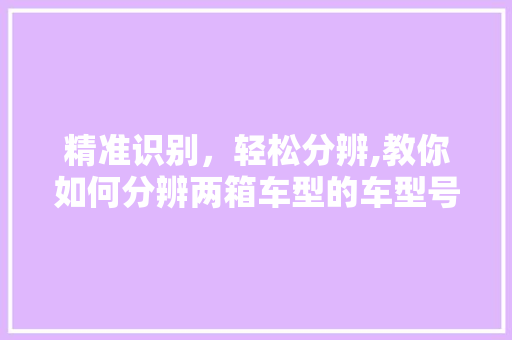 精准识别，轻松分辨,教你如何分辨两箱车型的车型号