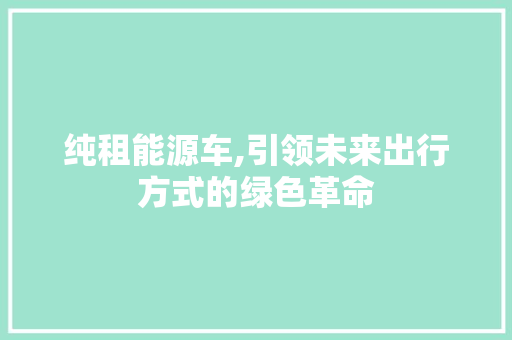 纯租能源车,引领未来出行方式的绿色革命 车灯配件